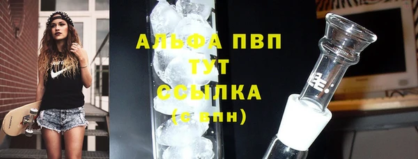 дмт Новозыбков