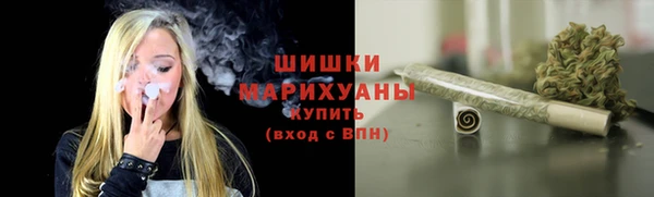 дмт Новозыбков