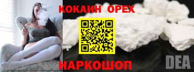 крисы Гатчина