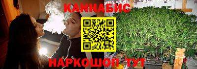 крисы Гатчина