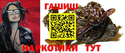 крисы Гатчина
