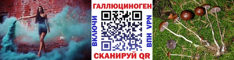 купить наркотик  Каспийск  нарко площадка Telegram  Псилоцибиновые грибы ЛСД 