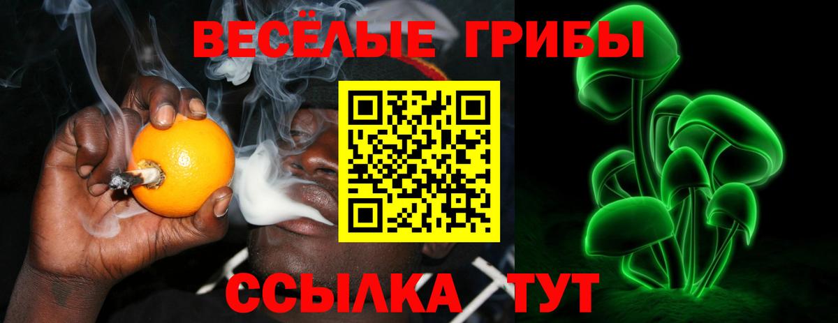 Галлюциногенные грибы GOLDEN TEACHER Каспийск
